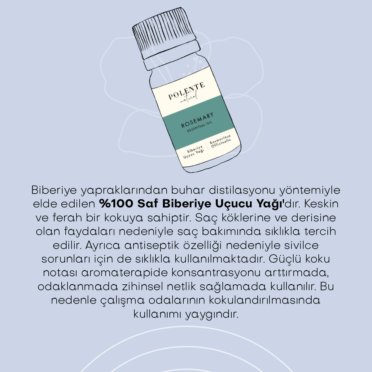 Biberiye Uçucu Yağı (10 ml)