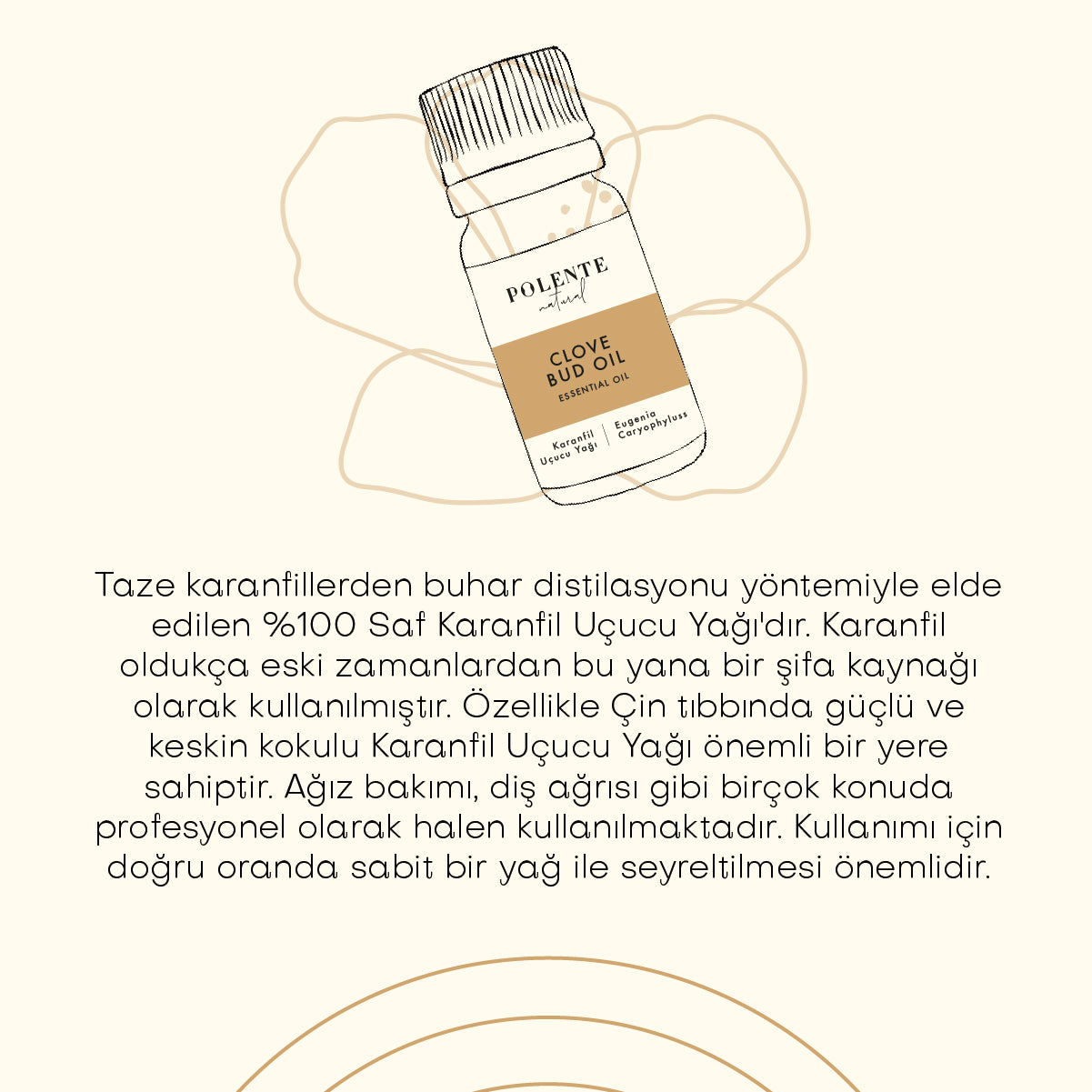 Karanfil Uçucu Yağ (10 ml)