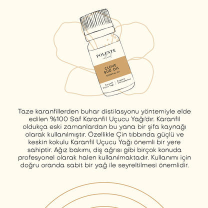 Karanfil Uçucu Yağ (10 ml)