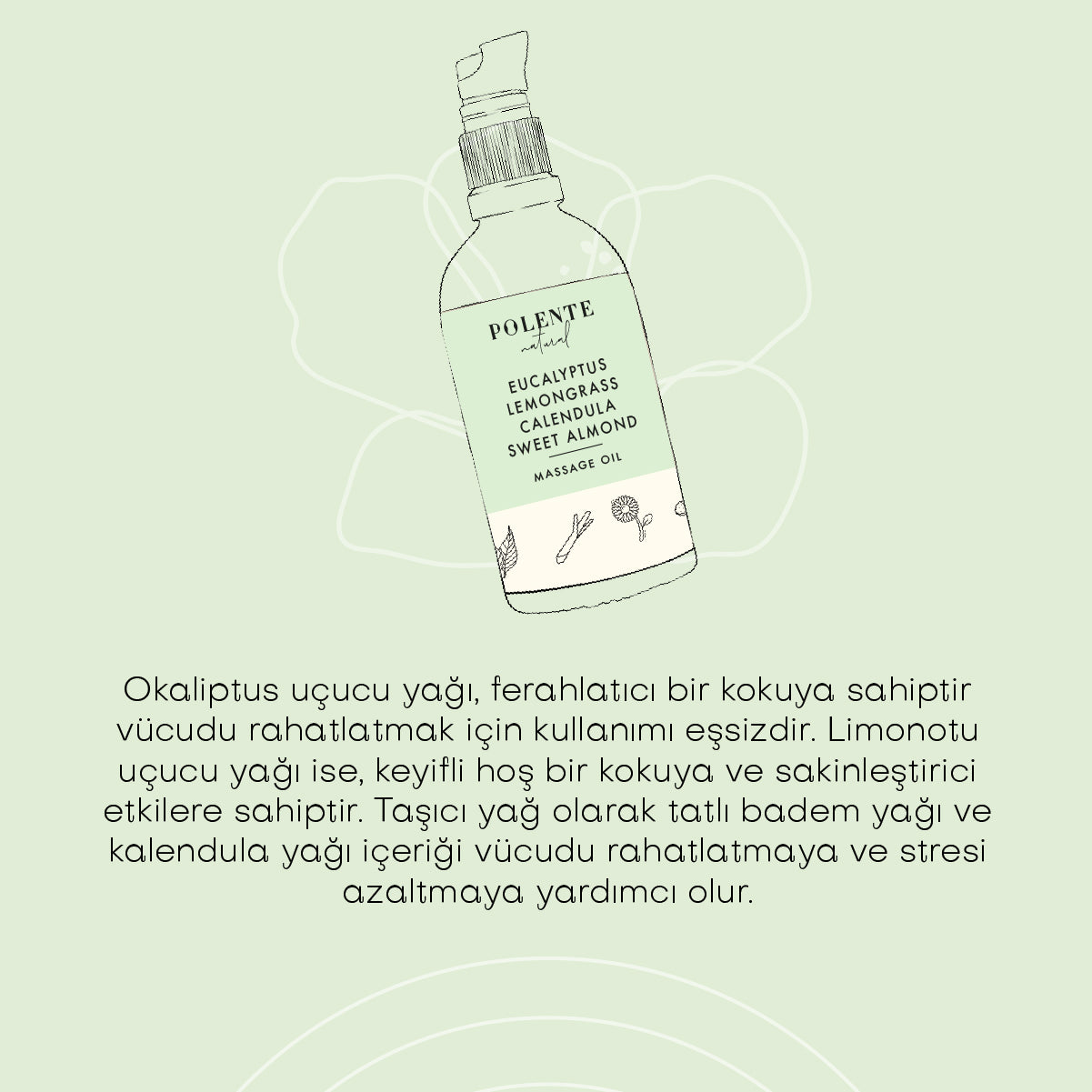 Okaliptus &amp; Limonotu Rahatlatıcı Masaj Yağı (100 ml)