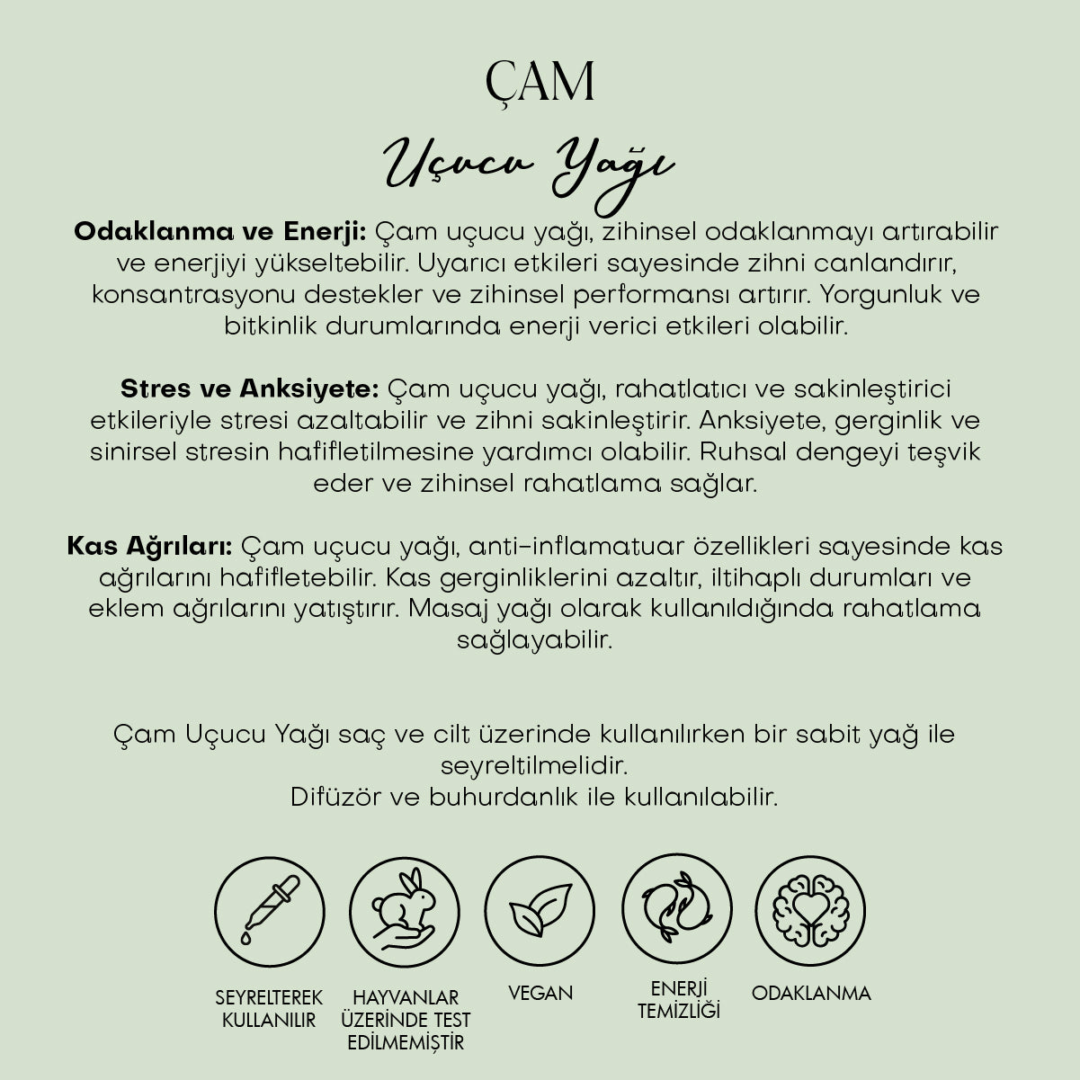 Çam Uçucu Yağı (10 ml)