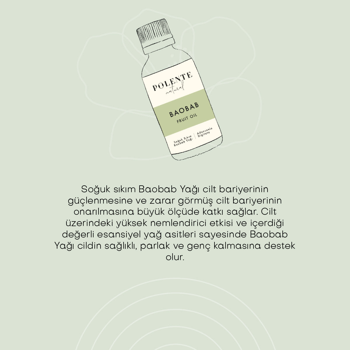 Baobab Yağı - Soğuk Sıkım (30 ml)