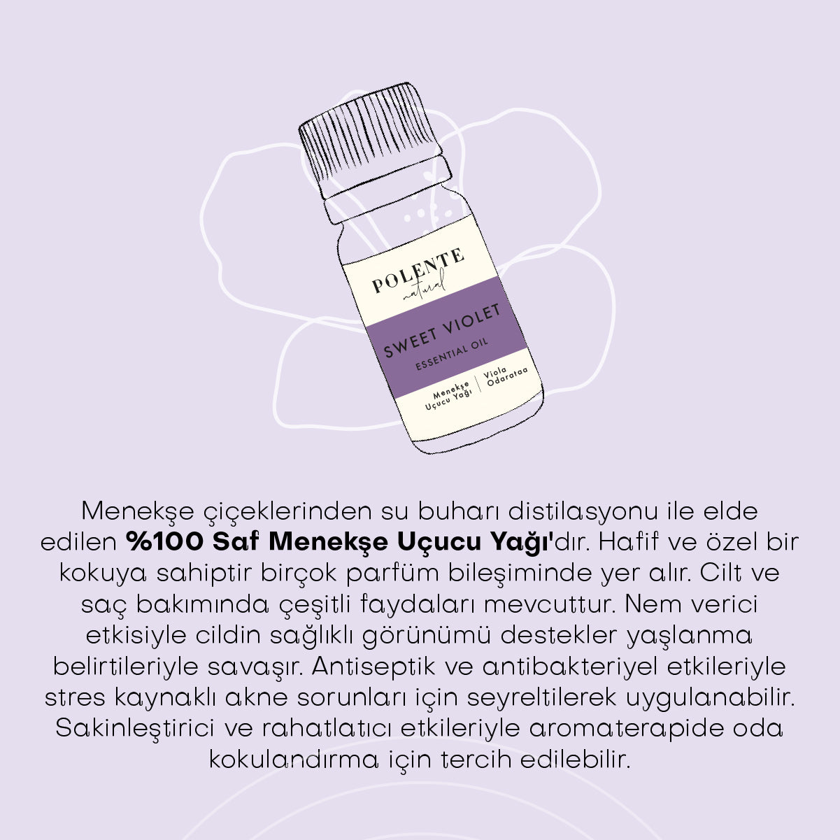 Violet Essential Oil