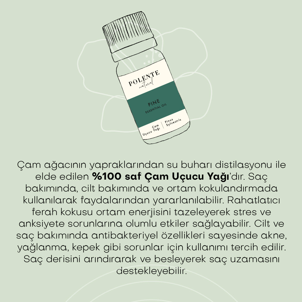 Çam Uçucu Yağı (10 ml)