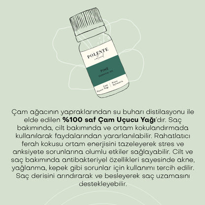 Pine Essential Oil