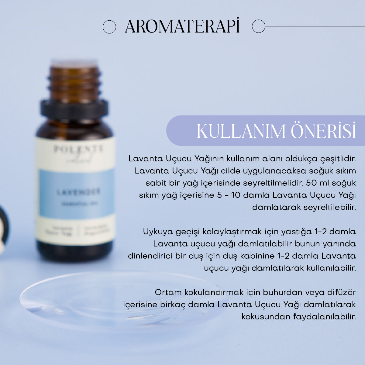 Lavender Essential Oil (10 ml)