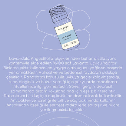 Lavender Essential Oil (10 ml)