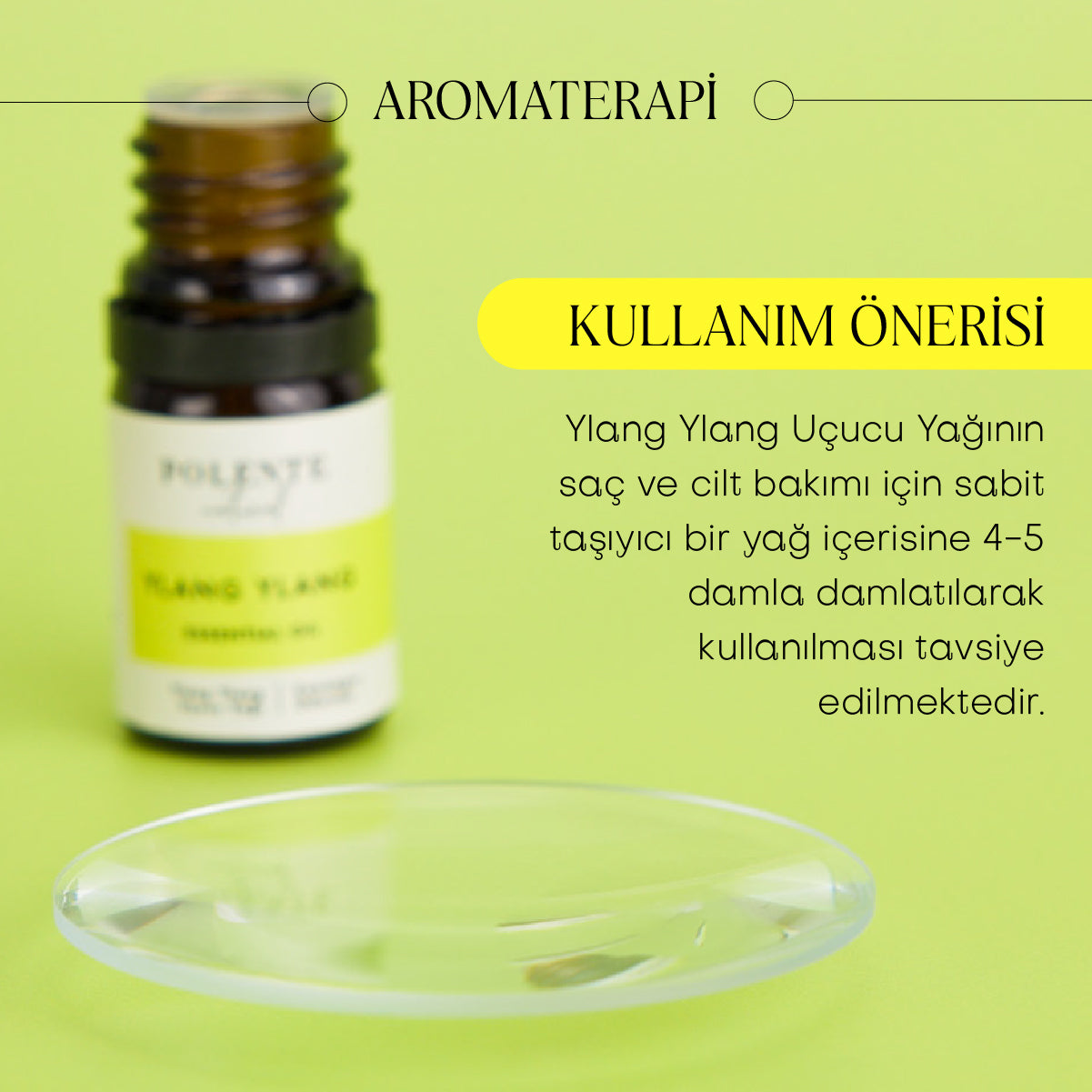 Ylang Ylang Essential Oil (5 ml)