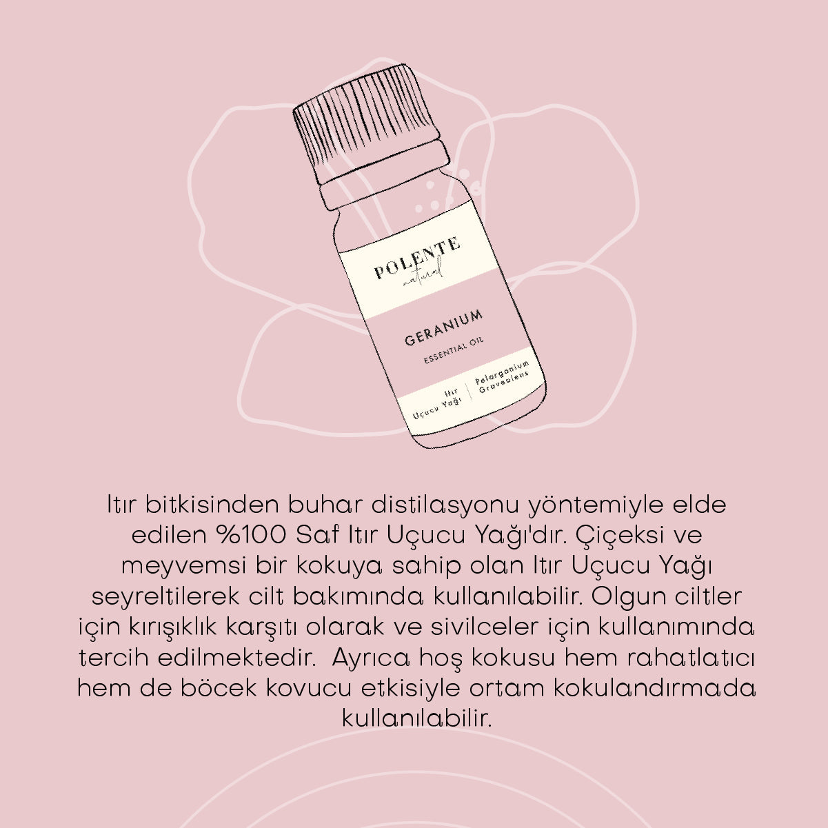 Geranium Essential Oil (10 ml)